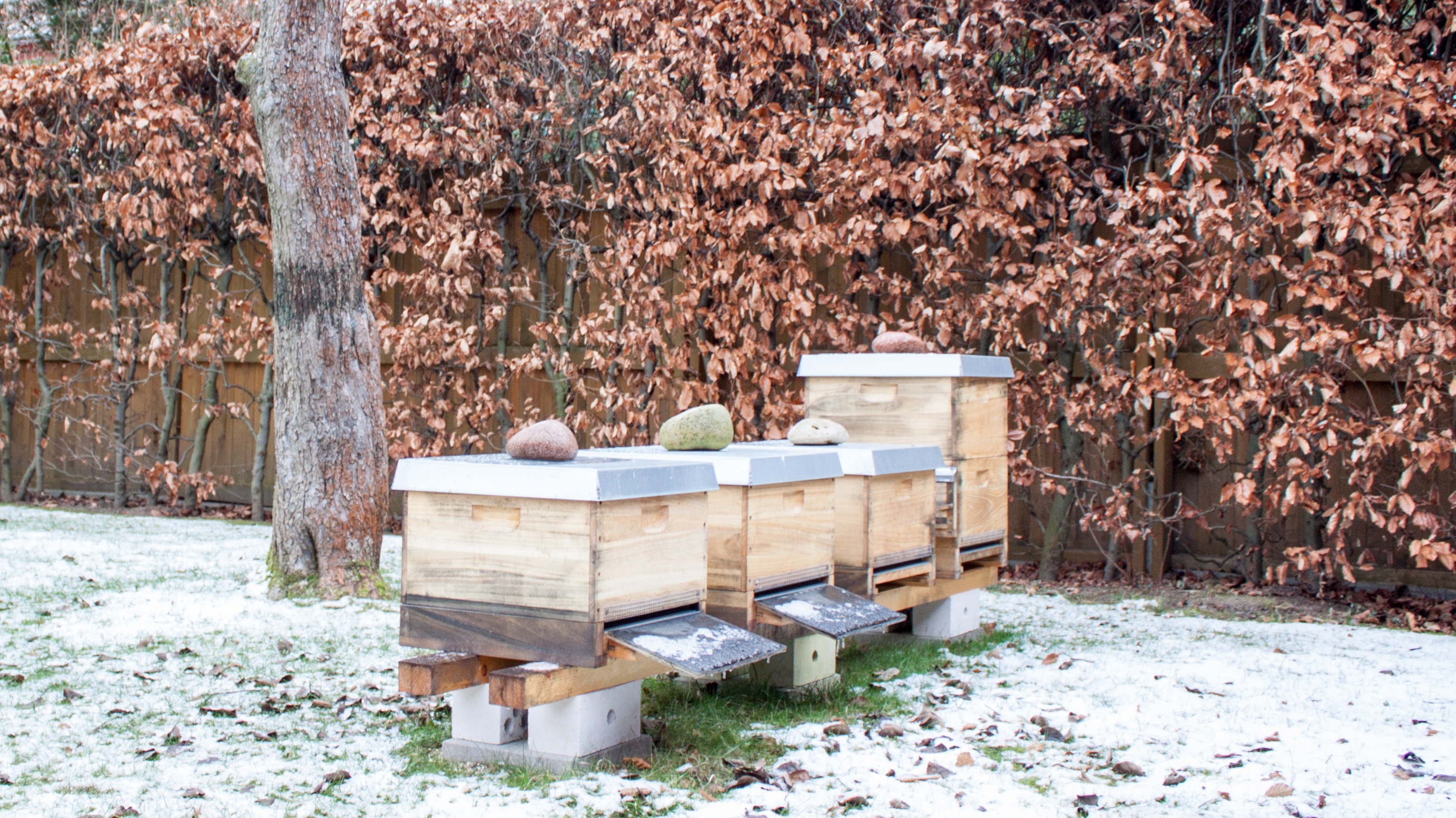 Bienenstöcke im Winter